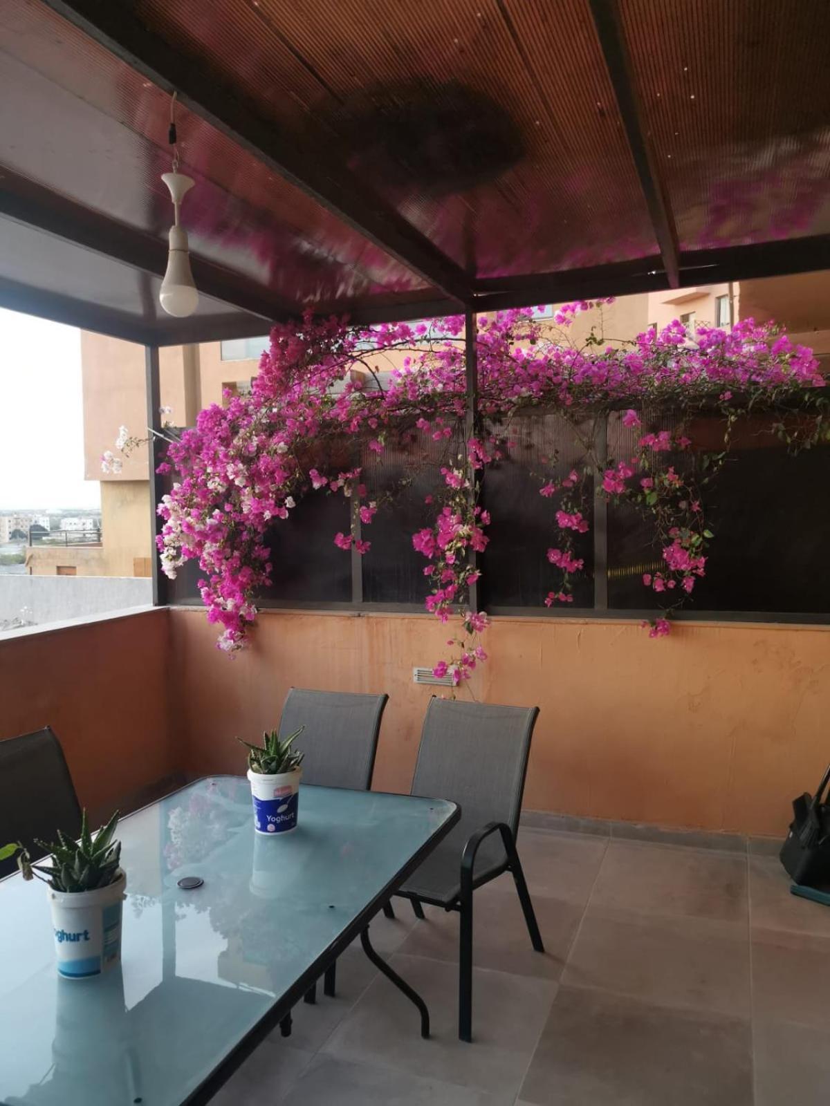 A Wonderful Stay At The Dead Sea Sweimeh Buitenkant foto